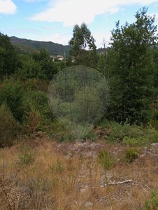 Terreno à venda em Queirã, Vouzela