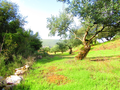 Terreno - Porto-de-Mós