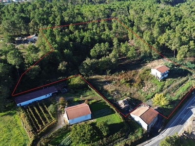 Quinta T3 em Mouçós e Lamares de 7 500 m²