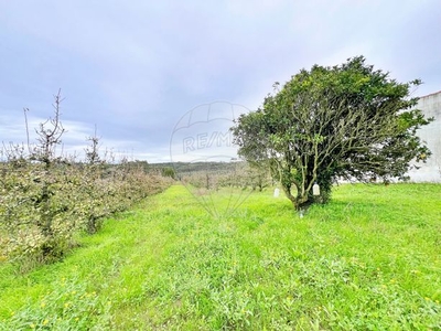 Terreno à venda em Gaeiras, Óbidos