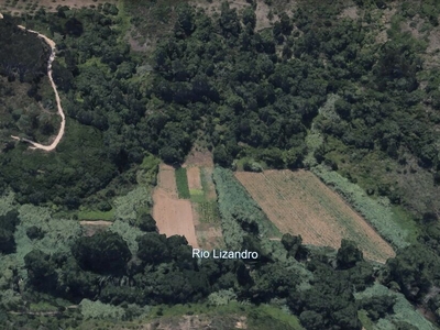 2 Terrenos rústicos de 7.937,00 m2 em Cheleiros para vinha