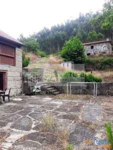 Quinta Amarante - Vila Meã, 25.200m2, com 2 casas em Pedra (1 totalmente restaurada e outra parcialmente restaurada)