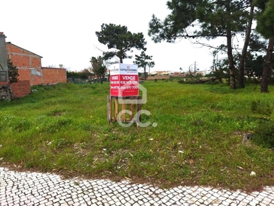 Terreno para comprar em Vieira de Leiria, Portugal