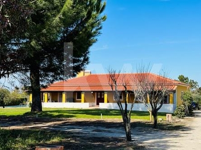 Farm with 7.700 m2 with 4 bedrooms house, annexes and swimming pool- Vale de Santarém, Cartaxo