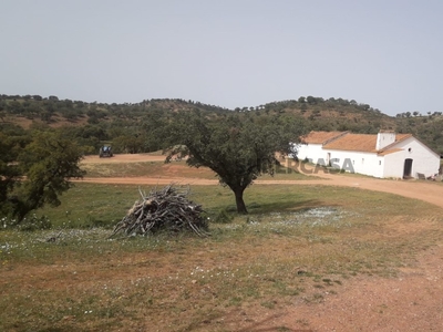 Herdade à venda em Portel