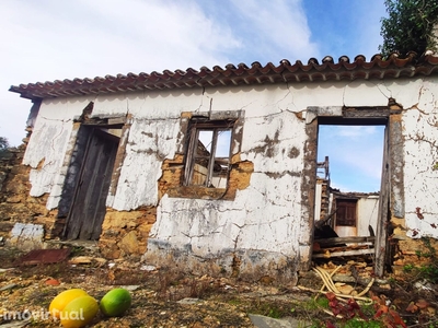 Magníficos terrenos com vista para o Rio Zêzere