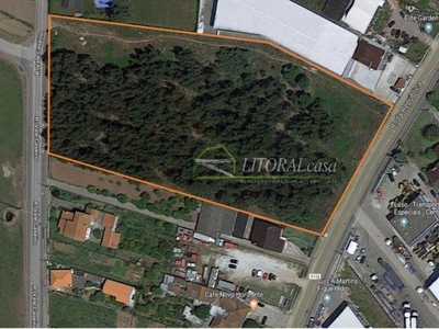 Terreno industrial para arrendamento 11.000 m2 - Cacia