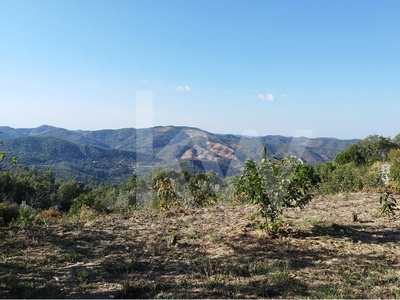 Terreno rústico em terraços com 1600m2 e água em Monchique