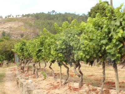 Terreno à venda em Mangualde, Mesquitela e Cunha Alta, Mangualde
