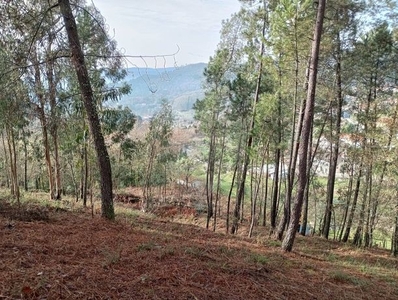 Terreno à venda em Vale, Arcos de Valdevez