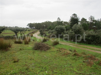 Terreno / Castelo Branco, Cebolais de Cima e Retaxo