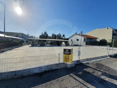 Terreno para alugar em Vagos, Portugal