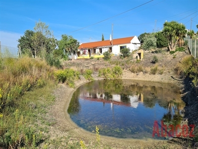 Encantadora Moradia De Campo Com 3 Quartos, Piscina E Jardim