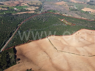 Herdade / Odemira, São Luís