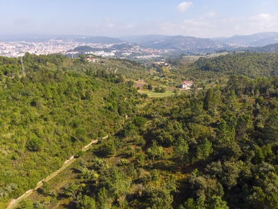 Terreno em Coimbra de 54.000m2 para desenvolvimento: eco-resort, turismo sustentável ou residencial - Negociação particular/licitação