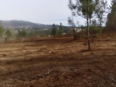 Terreno para Construção Vila Verde junto Rio