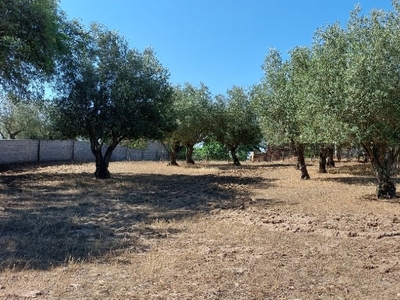 Quintinha T2 à venda em Grândola e Santa Margarida da Serra