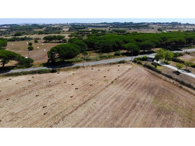 Terreno rústico com 14.160 m2 - Gouveia/Sintra