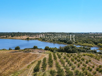 Farm With A 5 Bedroom Villa Next To Marateca's Dam