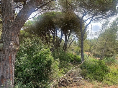 Plot With Approved Project In Cascais