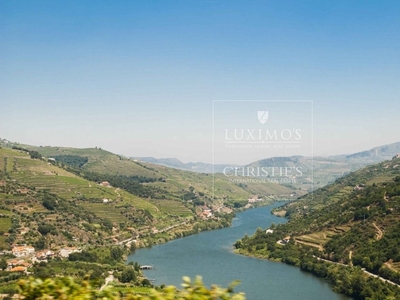 Vineyard With Stunning Views To Douro River, Vila Marim, Portugal