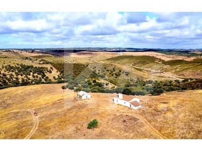 Monte para recuperar no Alentejo, com 197.500 m2 em Terena - Alandroal