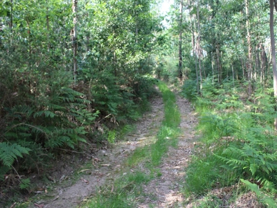 Terreno para comprar em Viana do Castelo, Mazedo e Cortes, Portugal