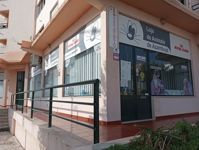 Consultório Veterinário na Azambuja