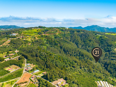 Terreno Rústico Floresta Exótica - Mista com 6.600 m2 - Morena, Santa Cruz, Madeira