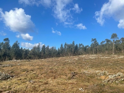 Venda de terreno para construção, Fragoso, Barcelos.