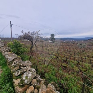 Terreno à venda em Alijó, Alijó