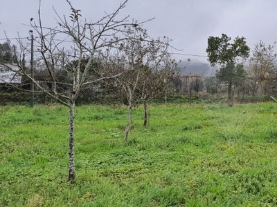 Terreno à venda em Ribeira do Neiva, Vila Verde
