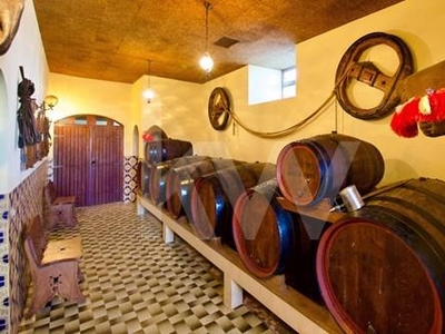 Quinta vinhateira no Douro com várias habitações e vinha para produção de uva para Vinho Generoso