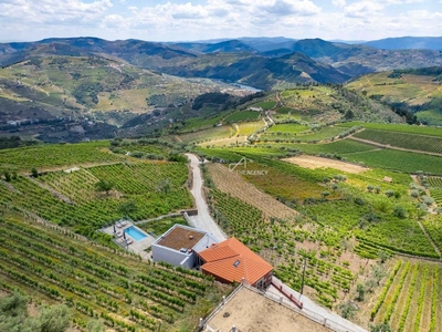 Tourist Farmhouse With 3 Suites, Swimming Pool, Vineyard And Stunning Views Over The Douro River