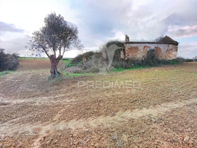 Terreno misto com ruína , com uma área 8 960m2 , na localidade Casével / Santarém.