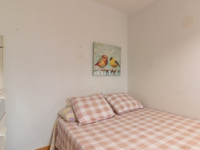 Lindo quarto para alugar em um apartamento de 3 quartos, Penha de França
