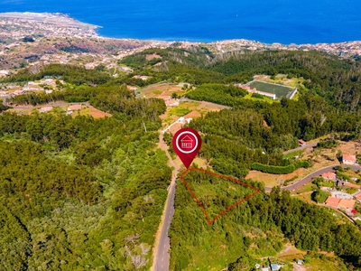 Maravilhoso Terreno com LEVADA e frente a ESTRADA em Gaula, Achada do Marques, Madeira, Portugal
