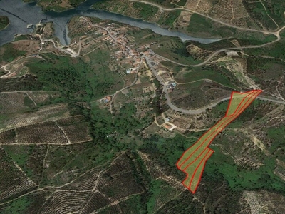 Terreno na Aldeia do Mato, em Abrantes, com uma área total de 14.760 m2