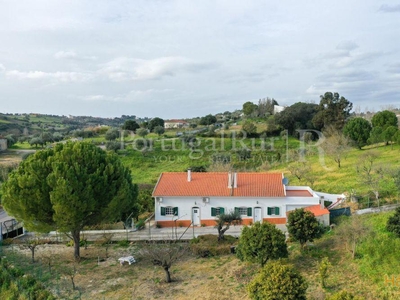 Quinta T4 com 2,8 hectares, armazém, furo e 500 árvores