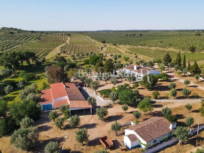 Herdade de 18 ha com 2 montes, vinha e olival na zona de Avis