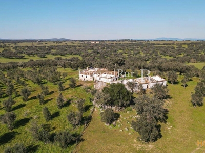 Herdade de 18 hectares perto de Estremoz