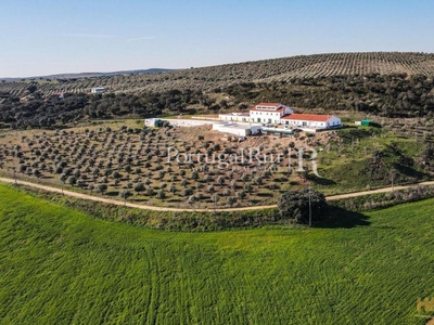 Quinta de 3ha com várias casas