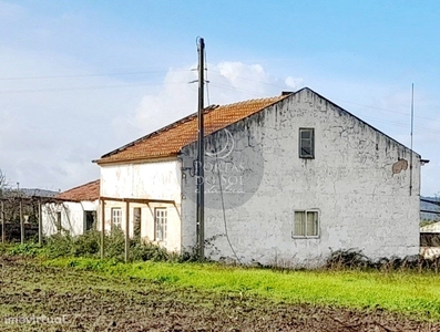 Casa de Campo V3 em 3.700 m2 c/ Tanque e Poço.