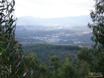 Terreno Venda em Mire de Tibães,Braga
