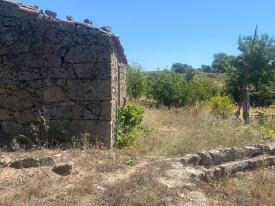 Terreno rústico com casa de xisto, Escalos de Baixo| Castelo Branco