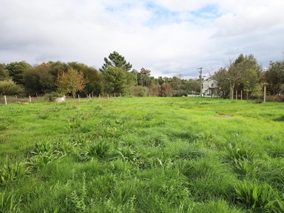 Terreno Rústico - Vila Nova de Paiva