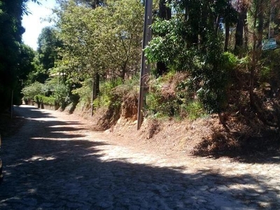Terreno Urbano Venda em Venade e Azevedo,Caminha