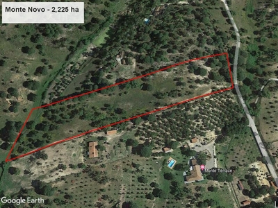 Quinta com 2,225 ha em Mora - Alto Alentejo