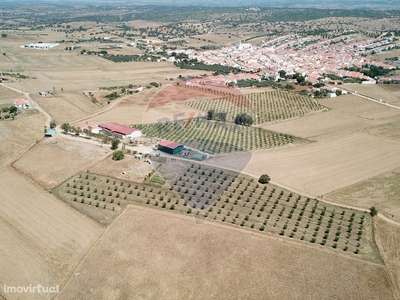 Armazém para venda