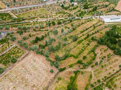 Terreno à venda em Salzedas, Tarouca